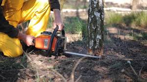 Best Arborist Consultation Services  in Garden City, SC